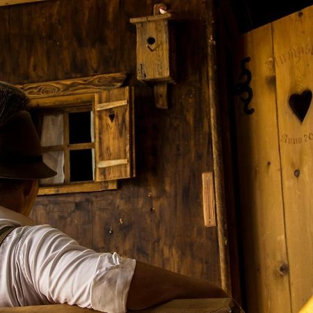 Chalet 164 باد غويسرن المظهر الخارجي الصورة