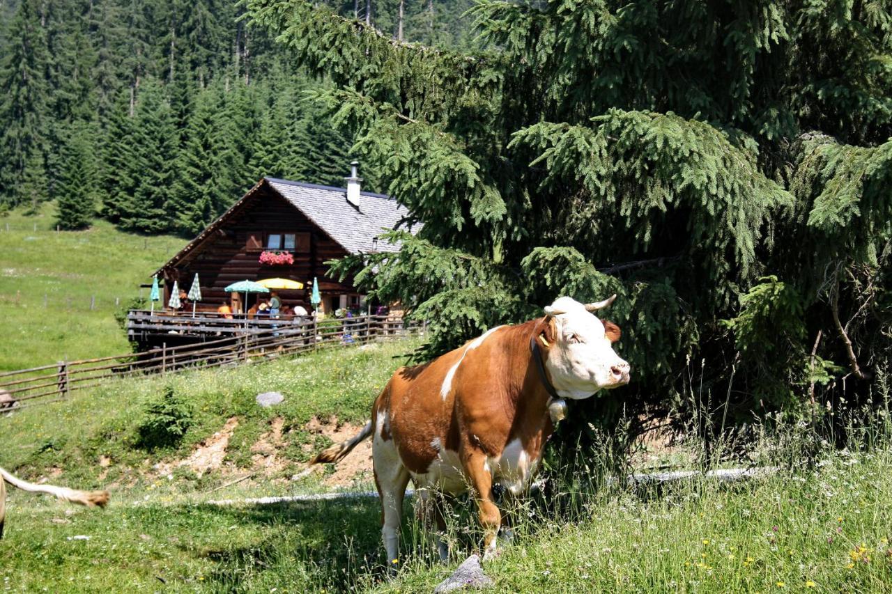 Chalet 164 باد غويسرن المظهر الخارجي الصورة